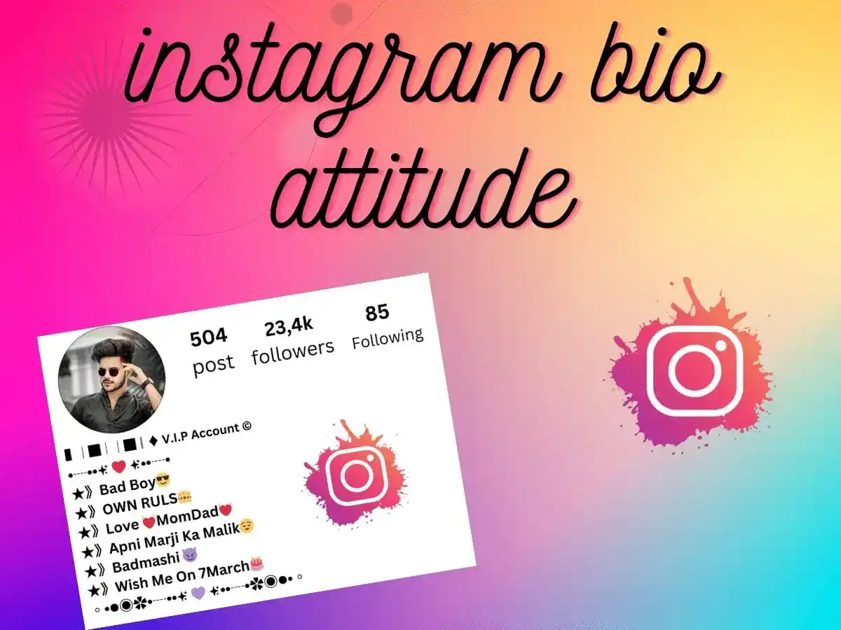 instagram bio attitude